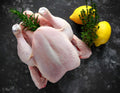 Fresh Dressed Chicken